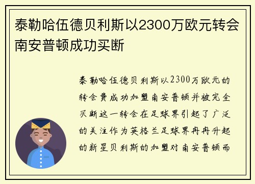 泰勒哈伍德贝利斯以2300万欧元转会南安普顿成功买断